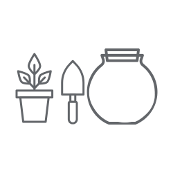 BLOG - Rozmnožování pokojových rostlin