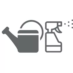 BLOG - 8 rostlin nejen pro parádu