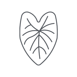 O PRODUKTECH - Rozcestník - caladium