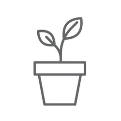 O PRODUKTECH - Anthurium, kráska z pralesů