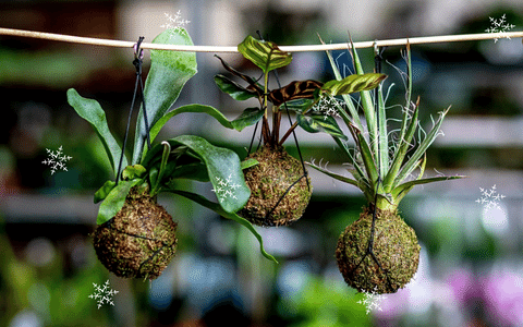 VÁNOCE - Největší hity Vánoc (bestsellery)