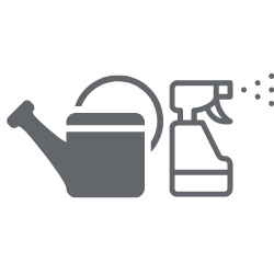 BLOG - Co s novou pokojovou rostlinou