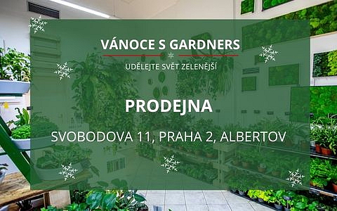 Vánoce v prodejně Gardners_20121
