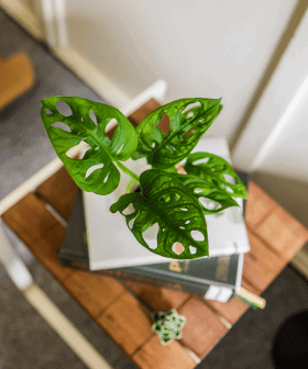 Blog - Trendy roku 2024