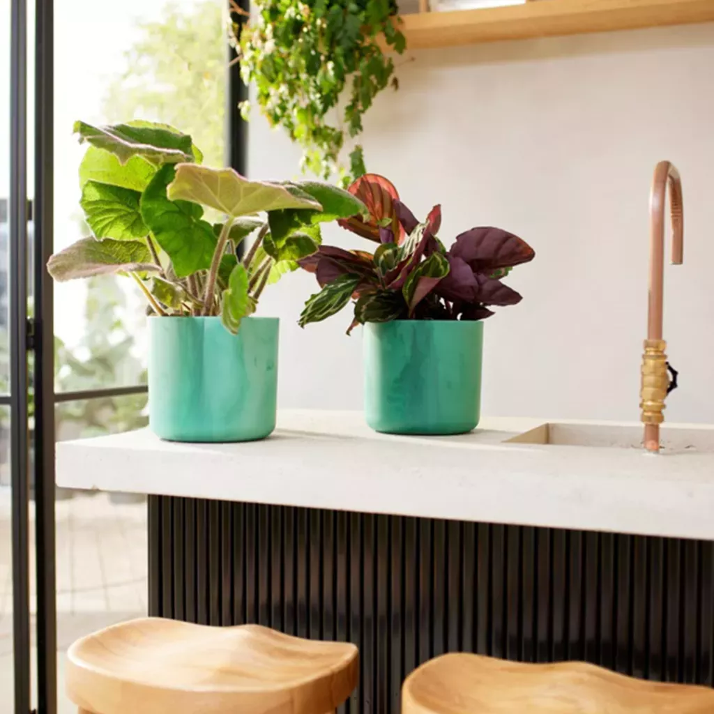 Obal The Ocean collection Round 16 cm, zelená