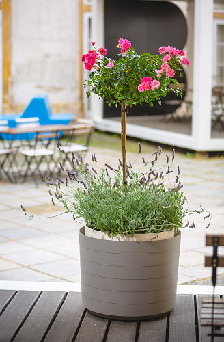 Samozavlažovací květináč Berberis 26 cm, antracit a slonová kost