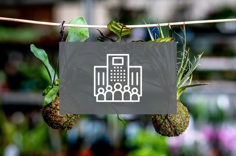 SLUŽBY_Zahrada na klíč