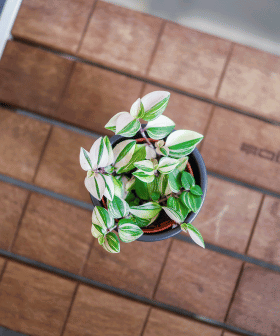 Blog - Trendy roku 2024