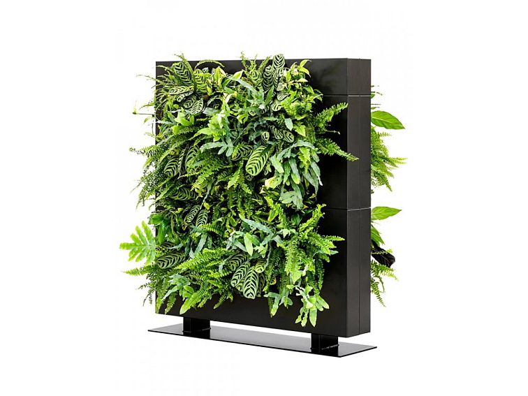 Vertikální stěna, rozdělovač místností LiveDivider PLUS ® - matná černá