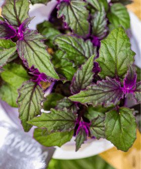 Blog - Trendy roku 2024