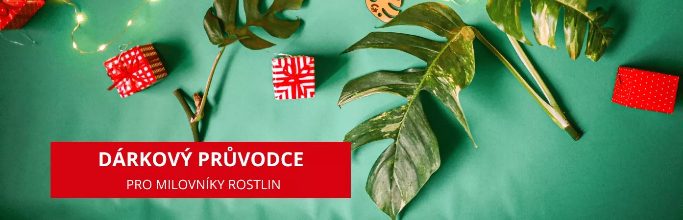 VÁNOCE - Vánoce v prodejnách Gardners 