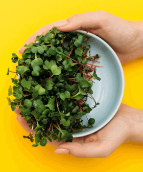 Blog - Trendy roku 2024