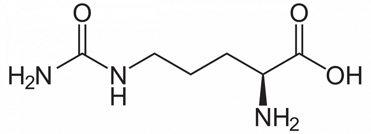 Maca - Maca Fresh Men 90 kapsúl