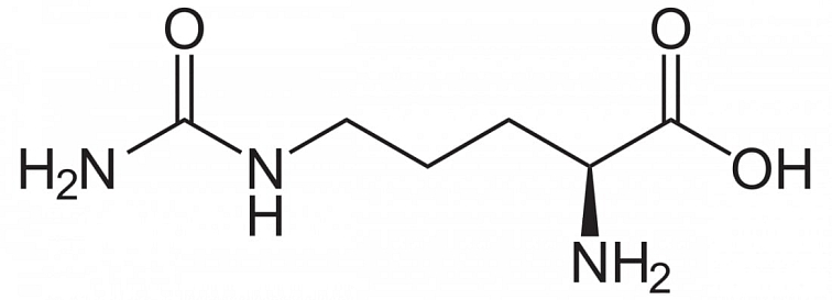 Andrimax ERECTA 5x25ml na podporu mužnosti