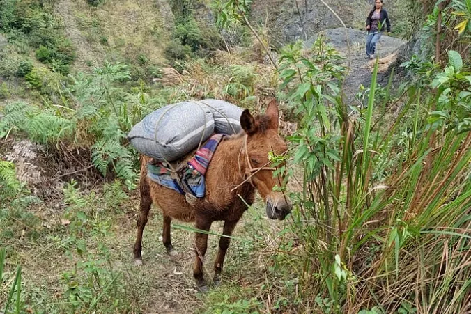 Výběrová káva Winter Edition 250g
