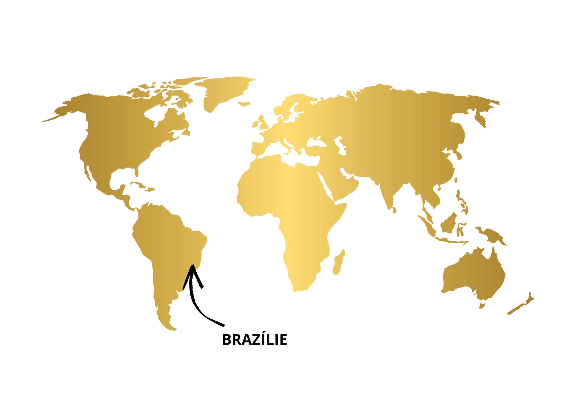 Výběrová káva Los Muertos Brasilia