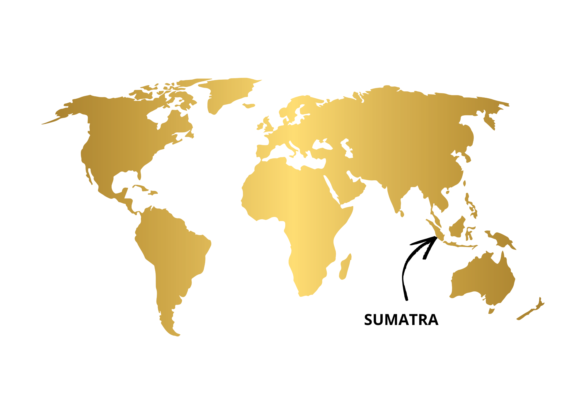 Výběrová káva Los Muertos Indonesia Anaerobní