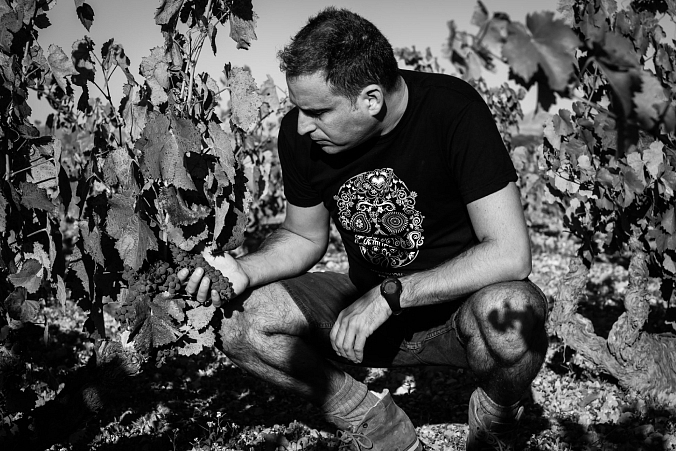 Bílé víno Demuerte White