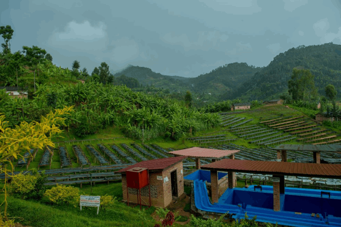 Výběrová káva Los Muertos Rwanda 250g
