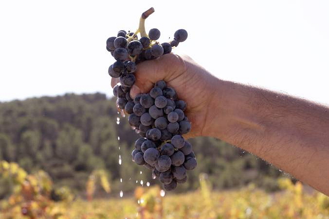 Červené víno Demuerte One