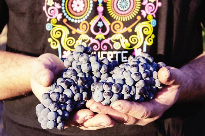 Červené víno Demuerte Classic