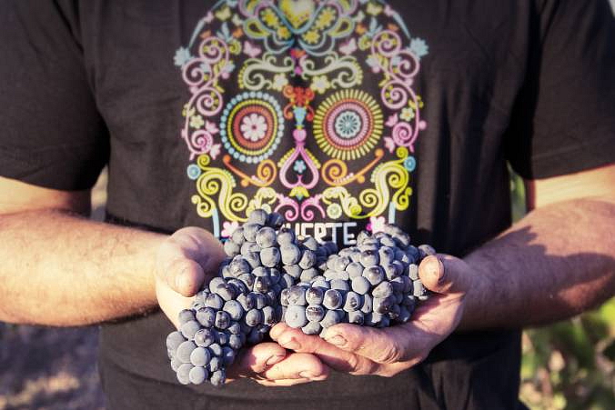 Červené víno Demuerte Gold