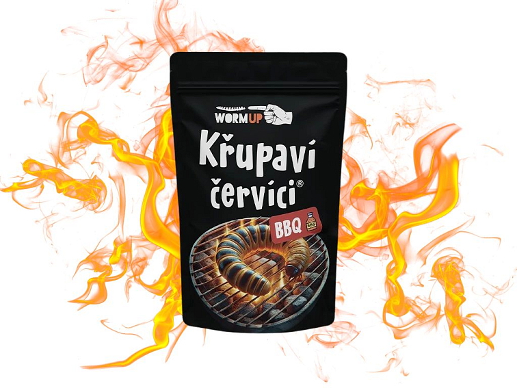 Výhody jedlého hmyzu