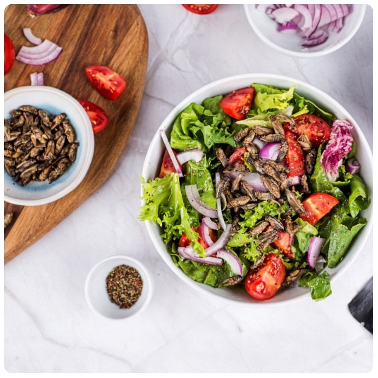 Lahodní cvrčci s kari