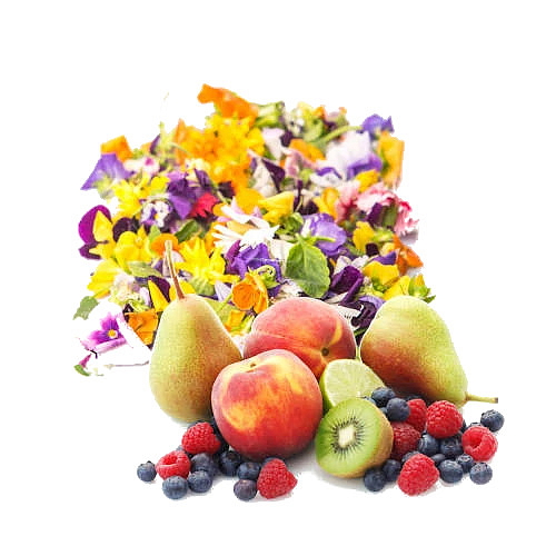 Cellini E.S.E. Espresso Prestigio