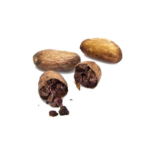 Cellini Caffe Crema Forte 60% Arabica zrnková káva 1 kg