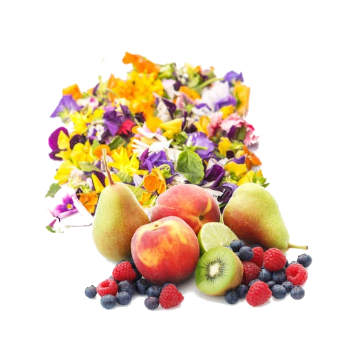 Cellini Caffe Crema Fino 100% Arabica zrnková káva 1 kg