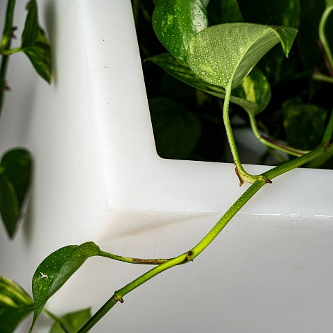 Svítící LED květináč CEDAR