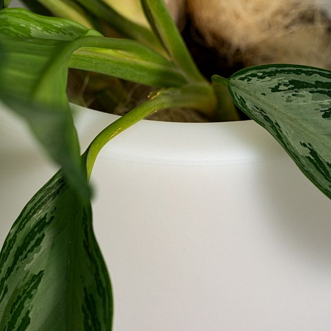 Svítící LED květináč ROSE