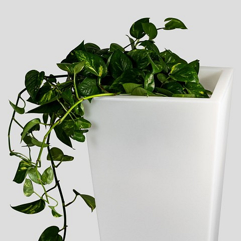 Svítící LED květináč CEDAR