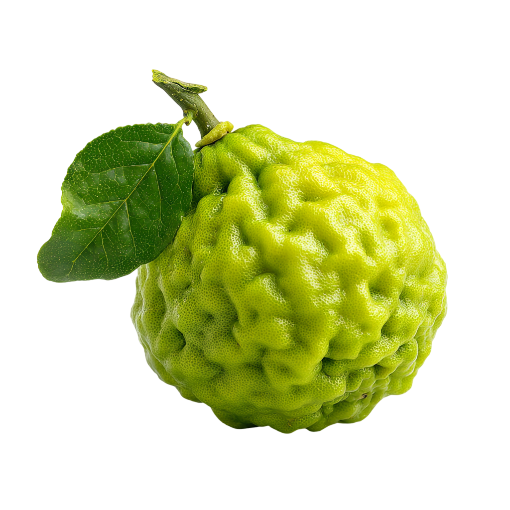 BIO 100% Esenciální olej Bergamot, 10 ml, Vitie