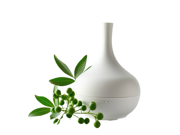 BIO 100% Esenciální olej Litsea, 10 ml, Vitie