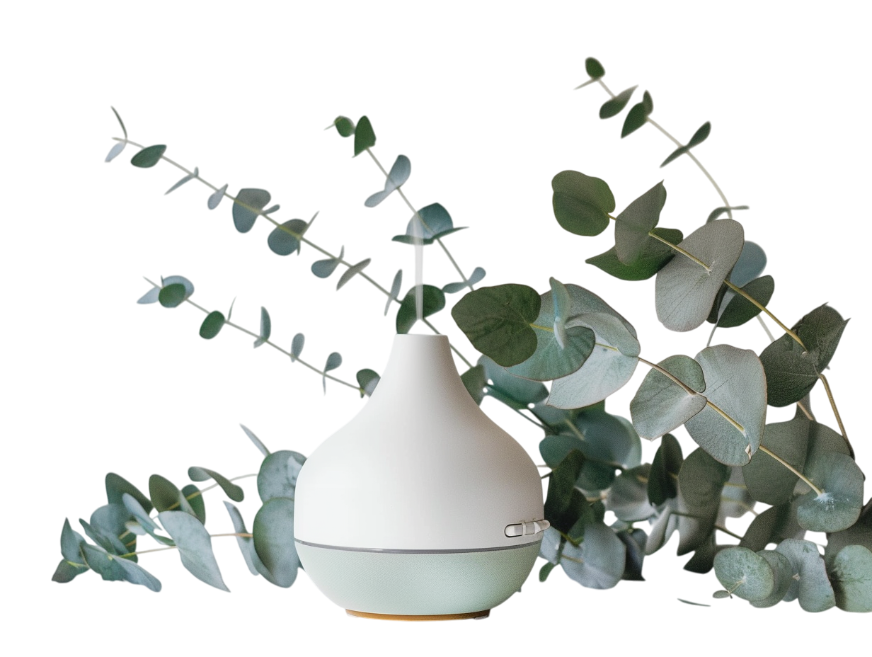 BIO 100% Esenciální olej Eukalyptus globulus, 10 ml, Vitie