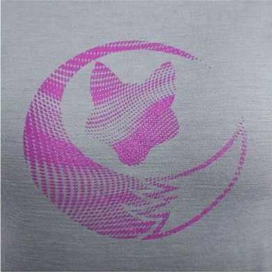 SENSOR MERINO ACTIVE PT FOX dámské triko kr.rukáv šedá