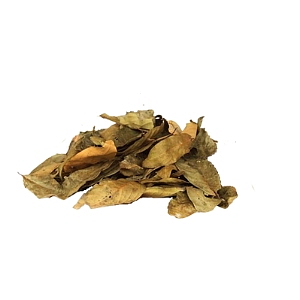 SKOŘICE Ispinku, čaj