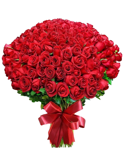 Den matek (landing page)