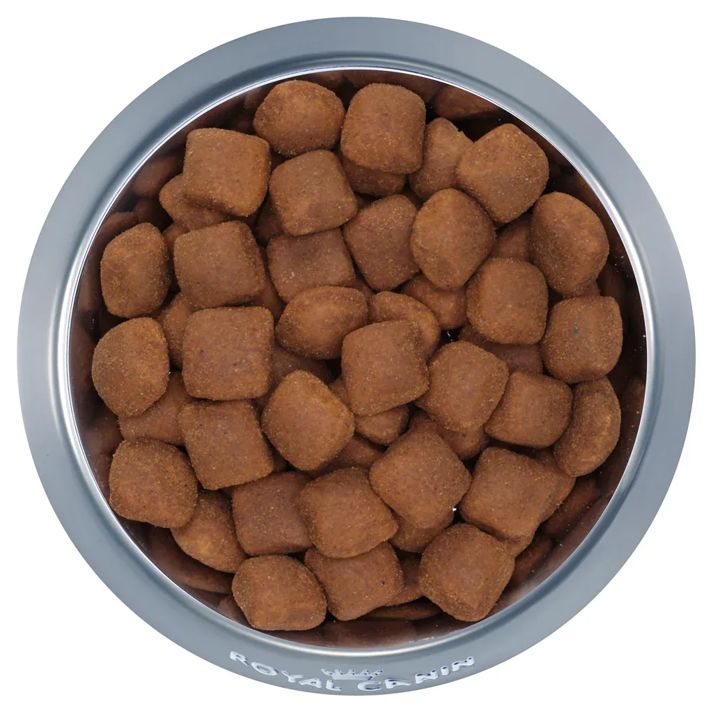 Royal Canin Giant Adult 15 kg