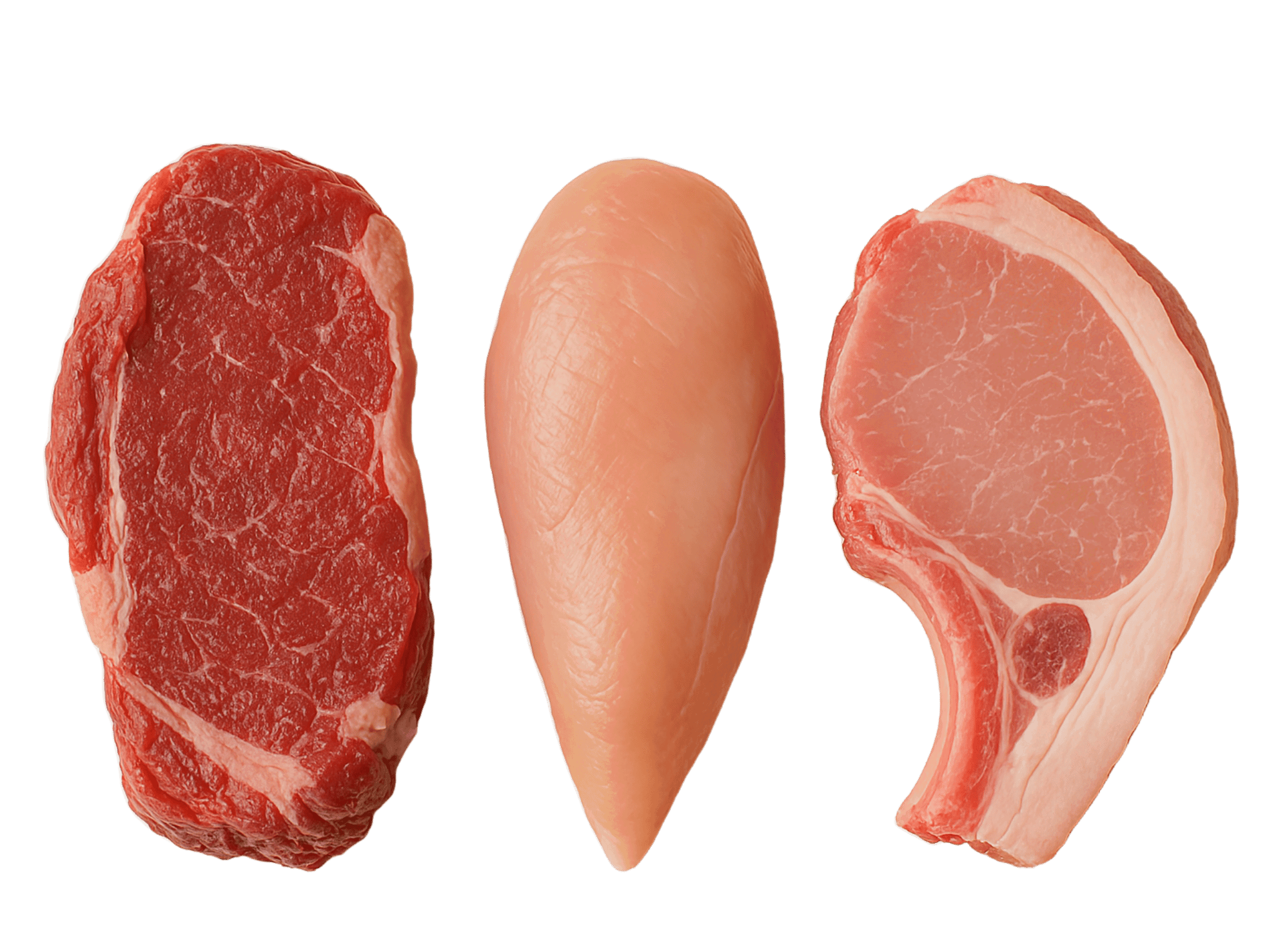 ALERGENY MASA A ŽIVOČIŠNÝCH BÍLKOVIN