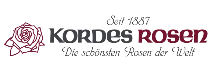 Mnohokvětá růže „Airbrush“