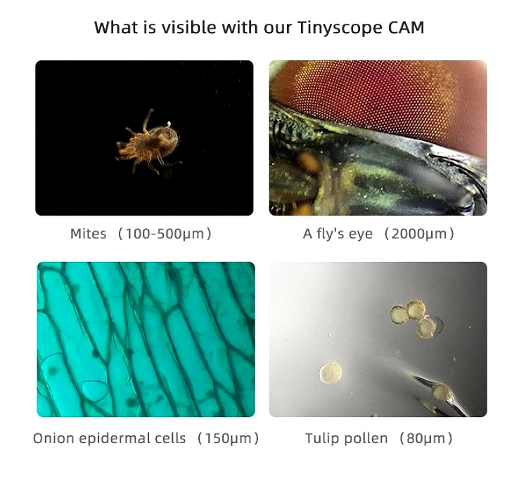 TinyScope® vreckový mikroskop