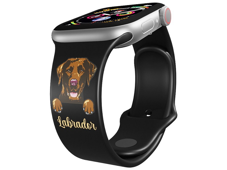 Apple watch řemínek Hnědý labrador