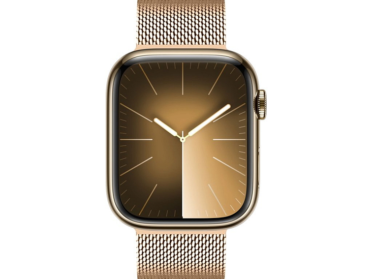 Řemínek na Apple Watch 38mm / 40mm / 41mm / 42mm - DuxDucis, Milanese Pro Gold