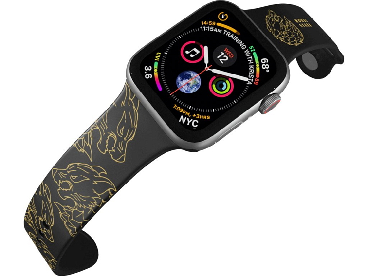 Apple watch řemínek GOT 6 - rod starků 2