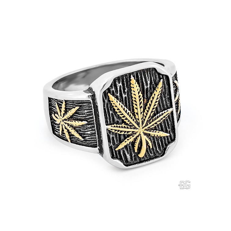 🌿 Pánský ocelový prsten se symbolem Trávy | DG Šperky