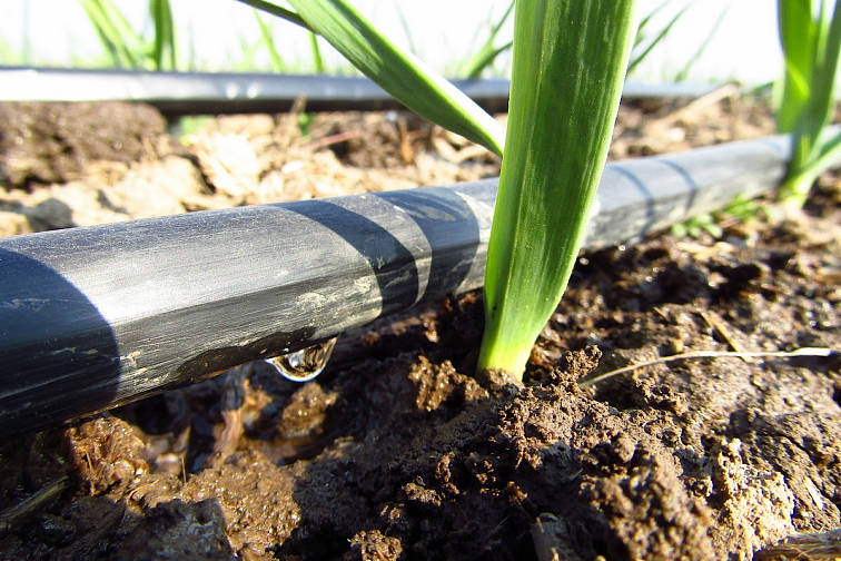 Trubka PE 16 x 1,2 mm