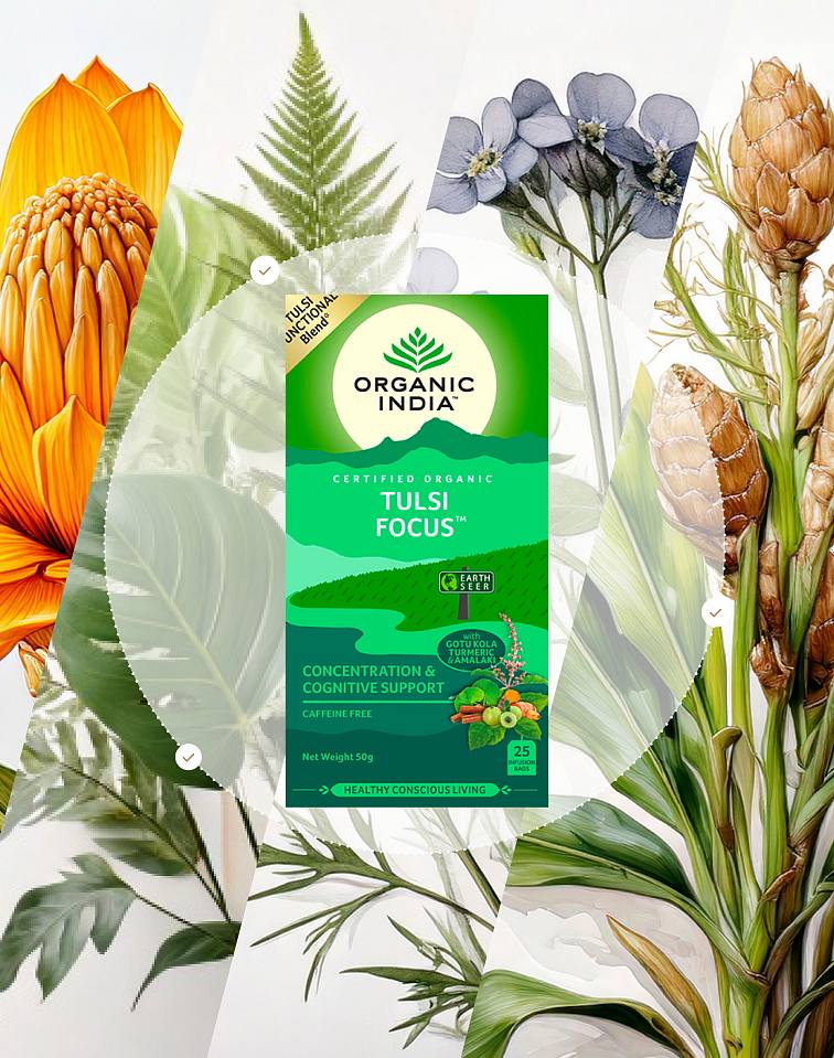 Tulsi koncentrace BIO, 25 sáčky